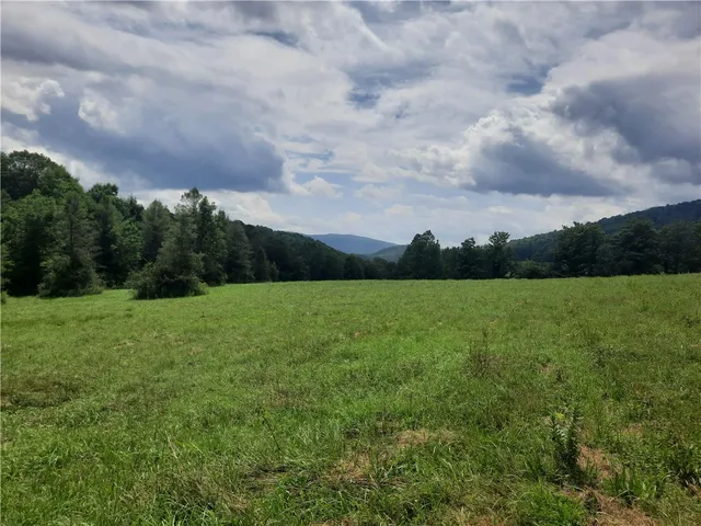 $249,000 | Tbd Lower Dingle Hill Road, Andes, NY 13731