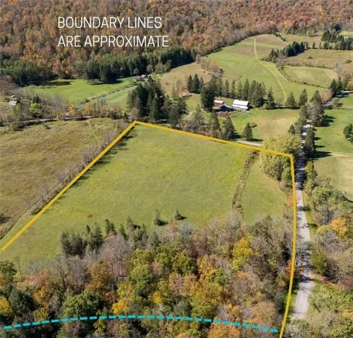 $249,000 | Tbd Lower Dingle Hill Road, Andes, NY 13731