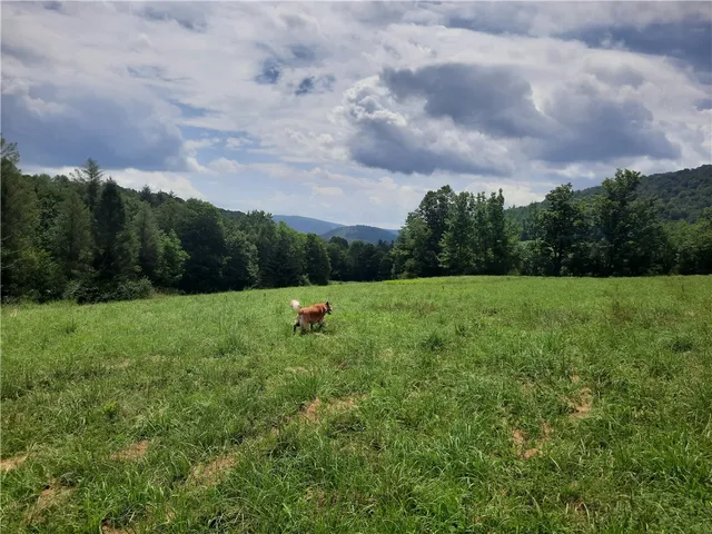 $249,000 | Tbd Lower Dingle Hill Road, Andes, NY 13731