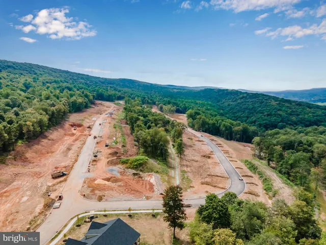 a view of a yard with a garden