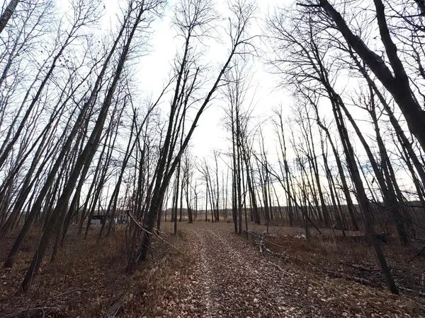 $200,000 | Xxxx Sherwood Street, Grasston, MN 55030