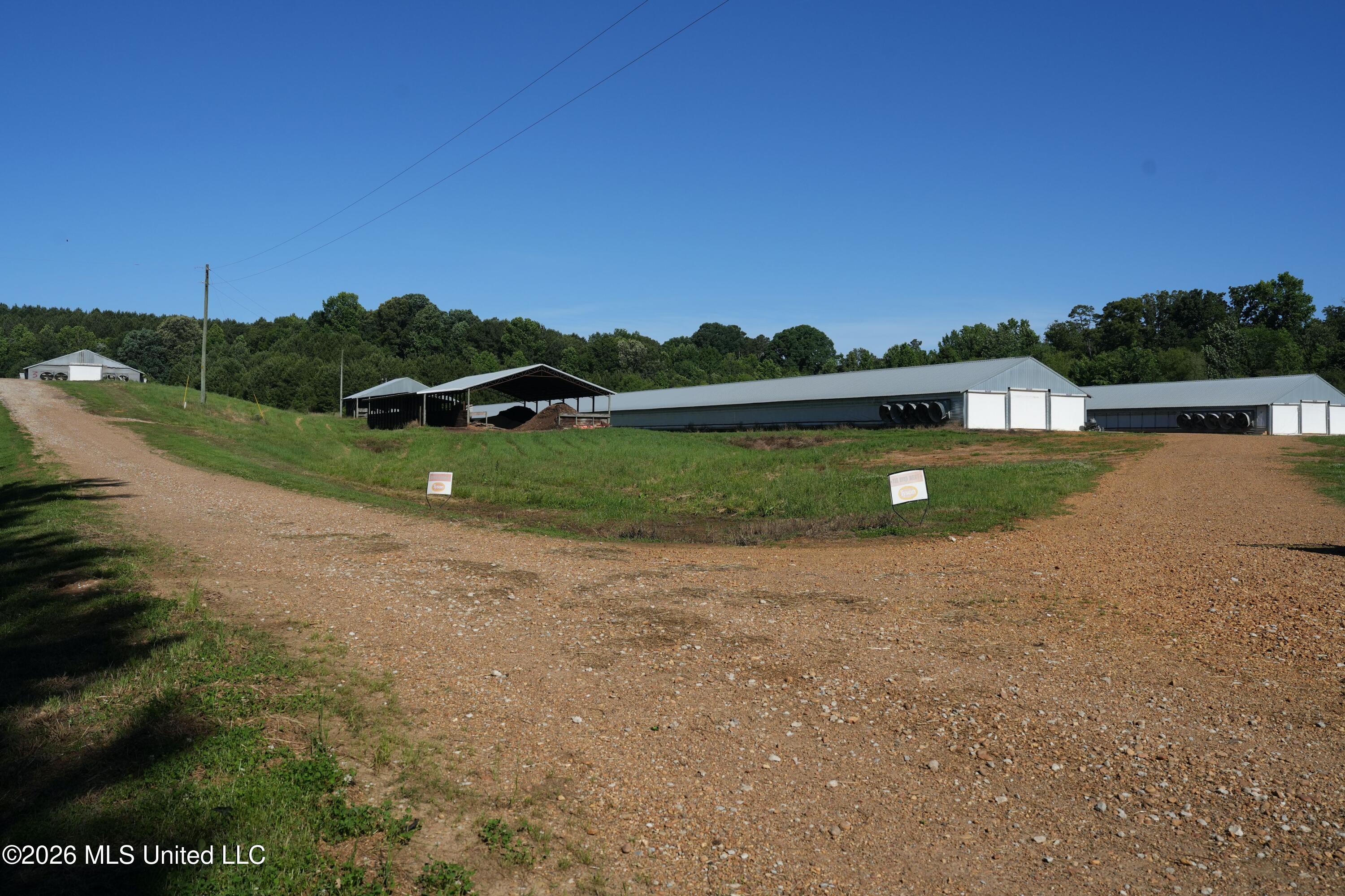 10671 Ms-427 Carthage, MS 39051 - Photo 18 of 44 DSC02931