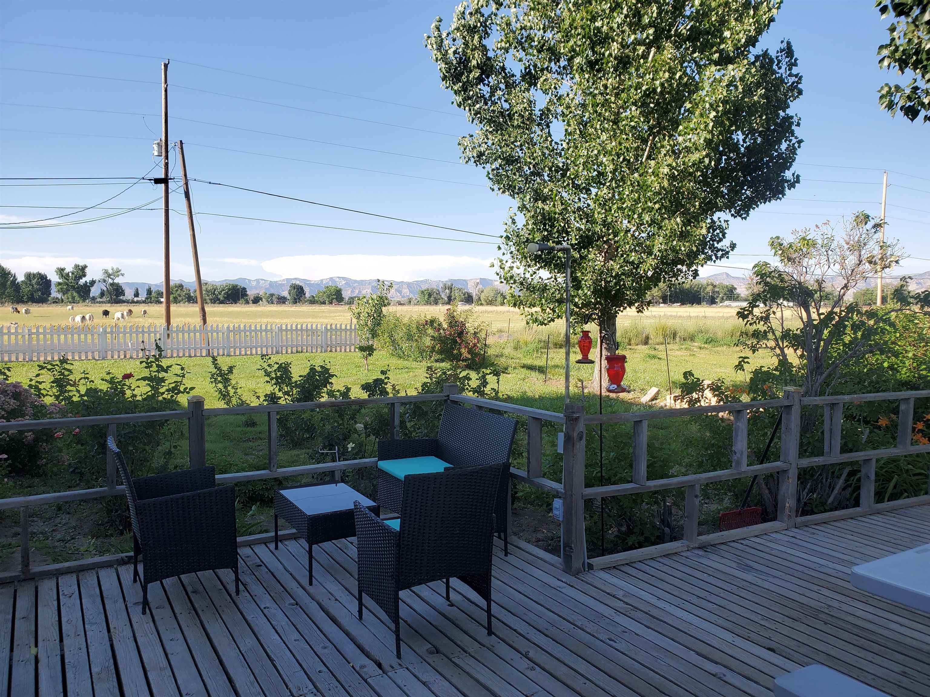 1877 J J 6/10 Road Fruita, CO 81521 - Photo 11 of 38 Gallery Image 11
