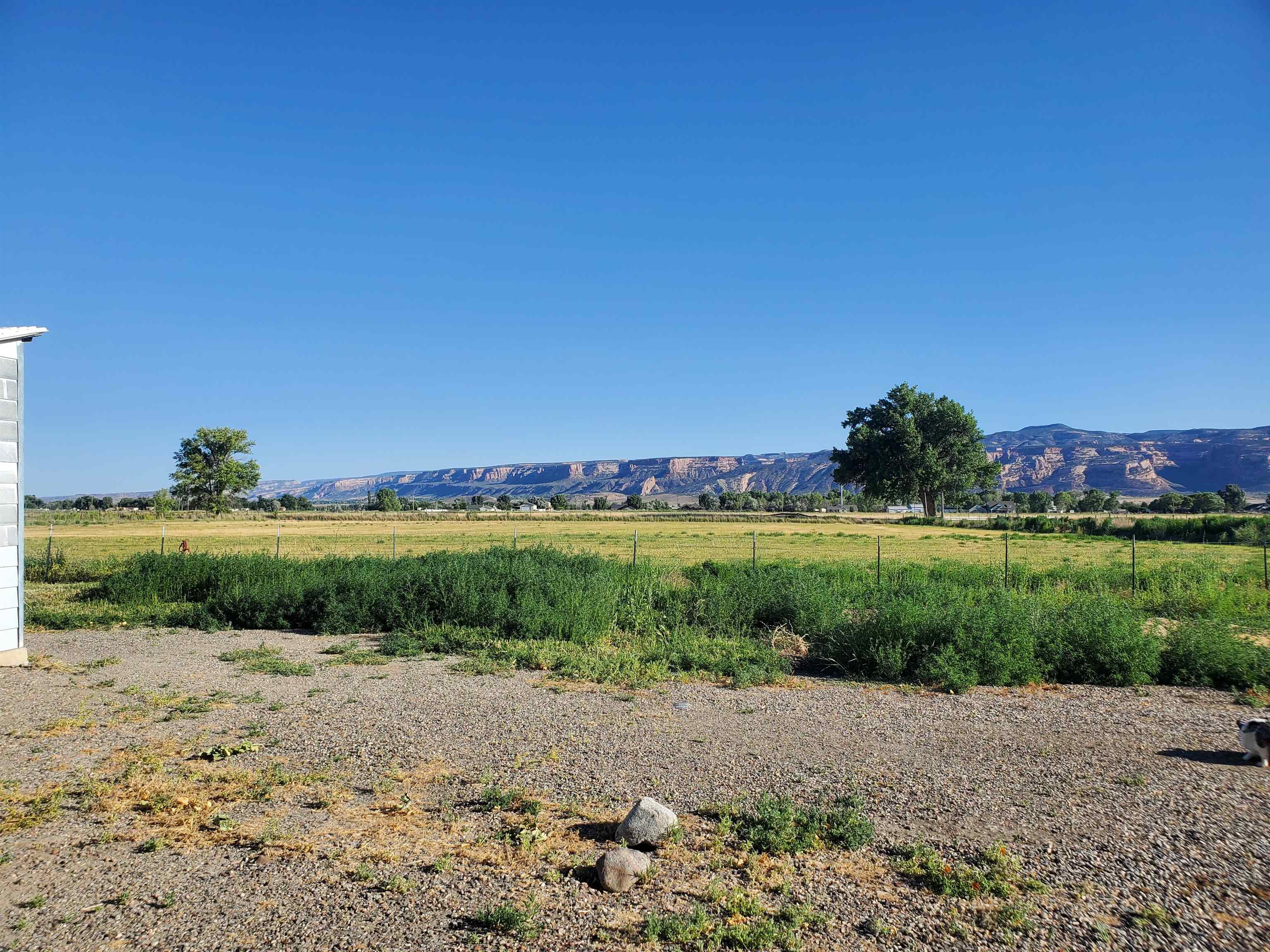1877 J J 6/10 Road Fruita, CO 81521 - Photo 15 of 38 Gallery Image 15