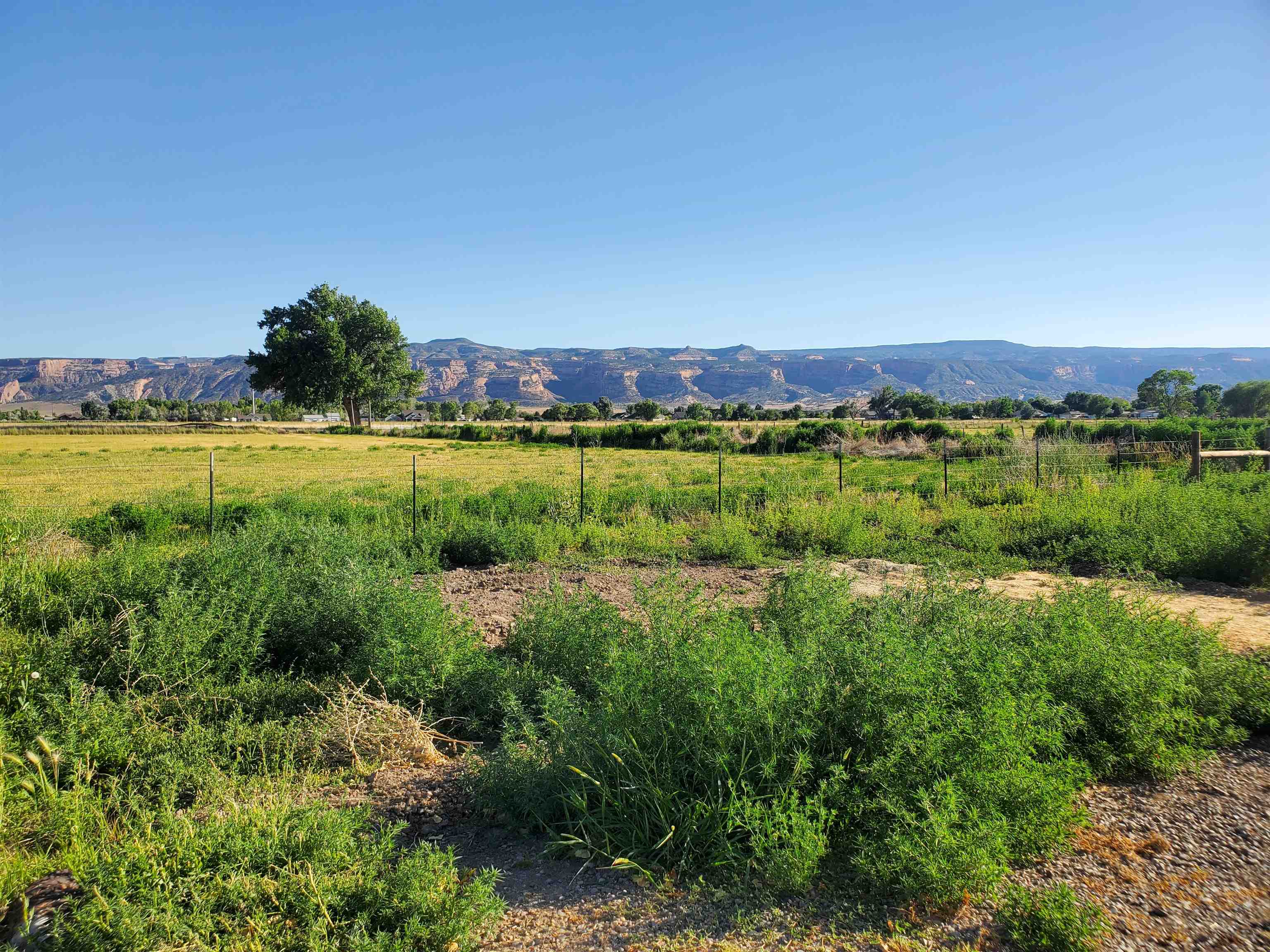 1877 J J 6/10 Road Fruita, CO 81521 - Photo 5 of 38 Gallery Image 5