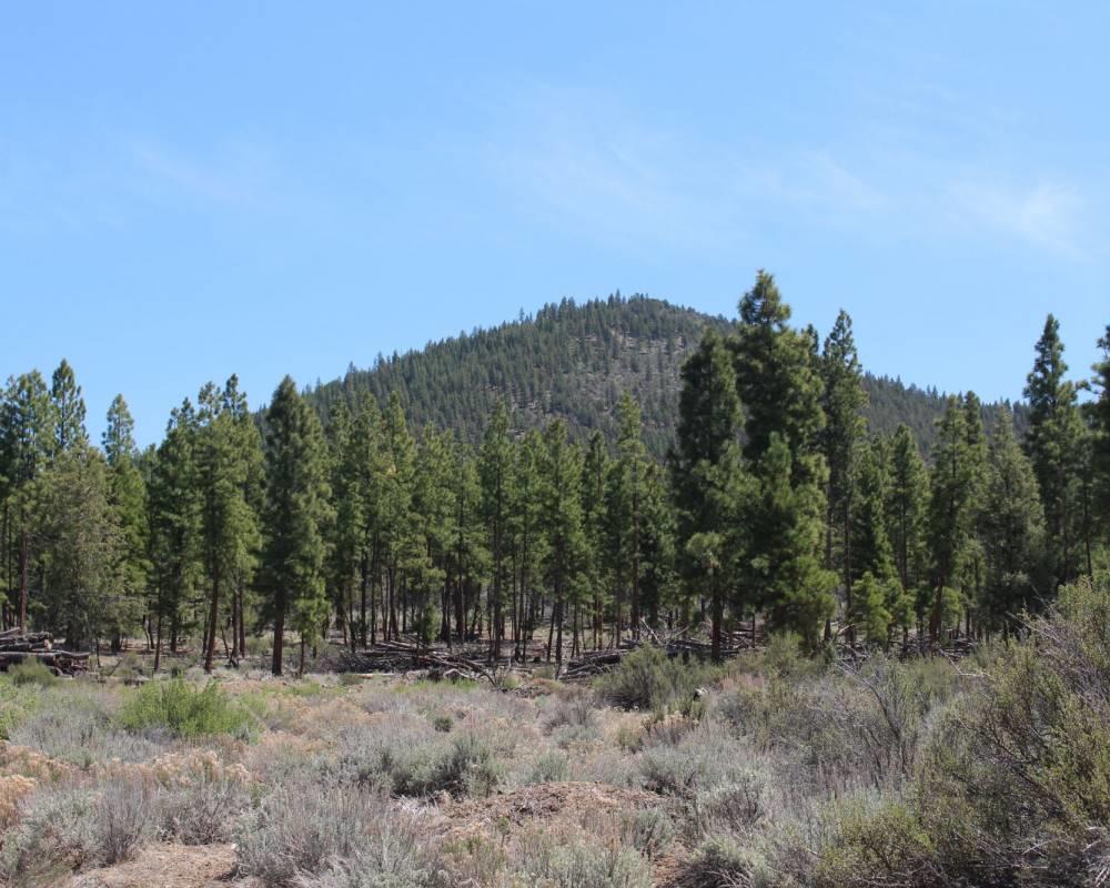 Sycan Road-157ac Beatty, OR 97621 - Photo 1 of 11 Property