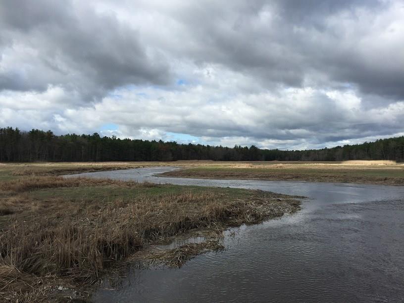 157 Birch Hill Road York, ME 03909 - Photo 15 of 19 The salt marsh in the Spring.