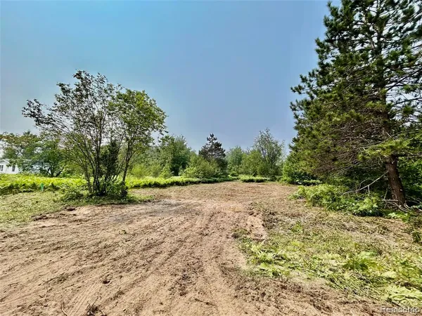 $9,000 | 6658 Brookfield Drive, Elmira, MI 49730