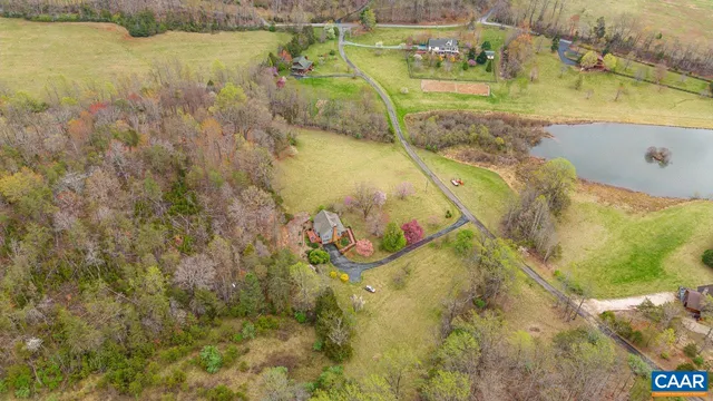 a view of trees and outside from a window