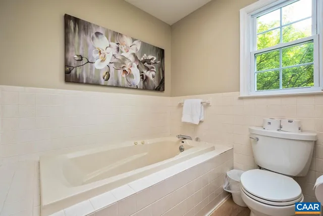 a view of a green trees from a window