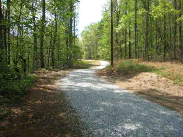 3a 3b 3c Off Suttles Road Martin, GA 30557 - Photo 3 of 8