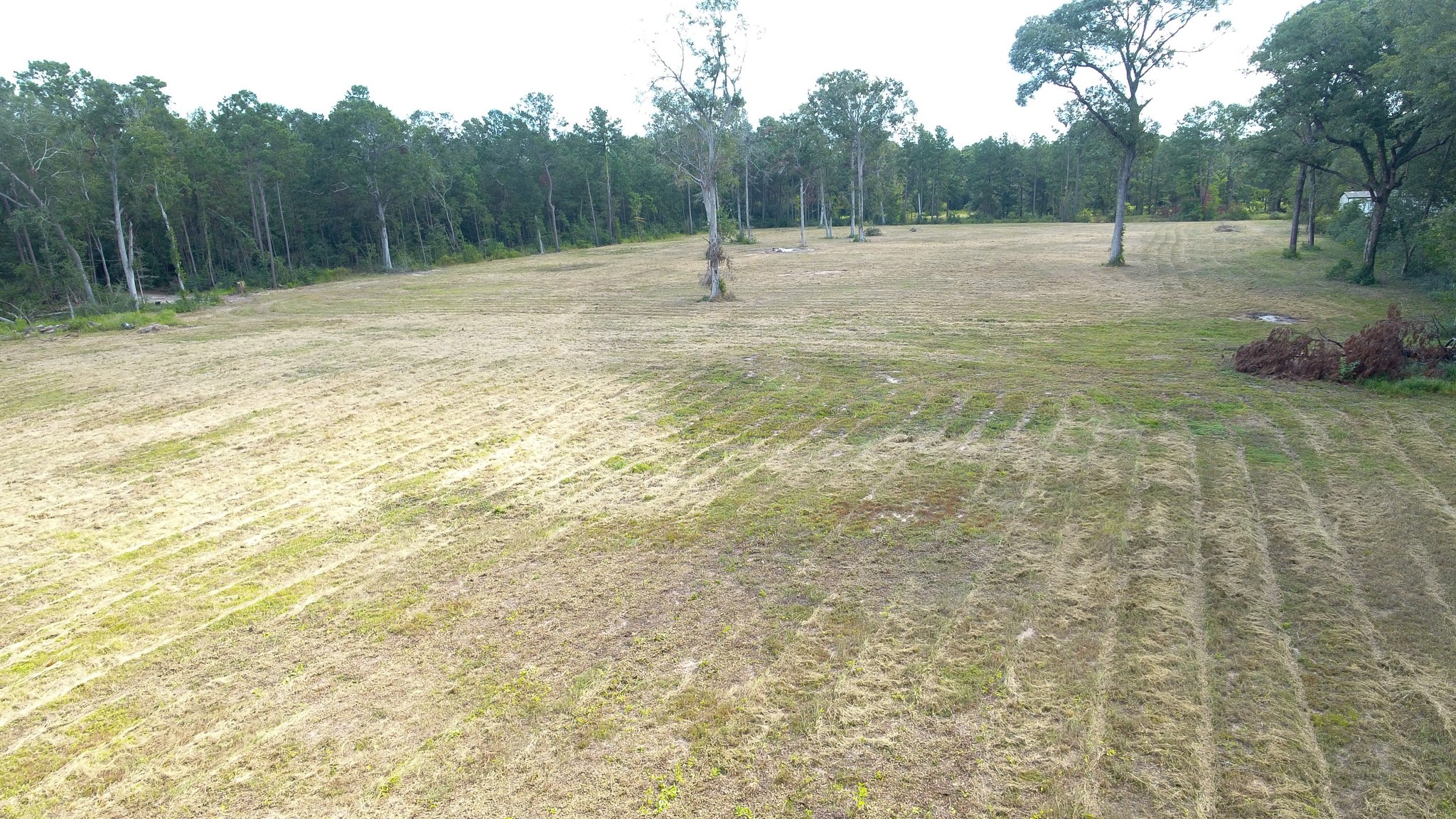 12075 Coon Hollow Road Conroe, TX 77306 - Photo 10 of 14 a view of a backyard
