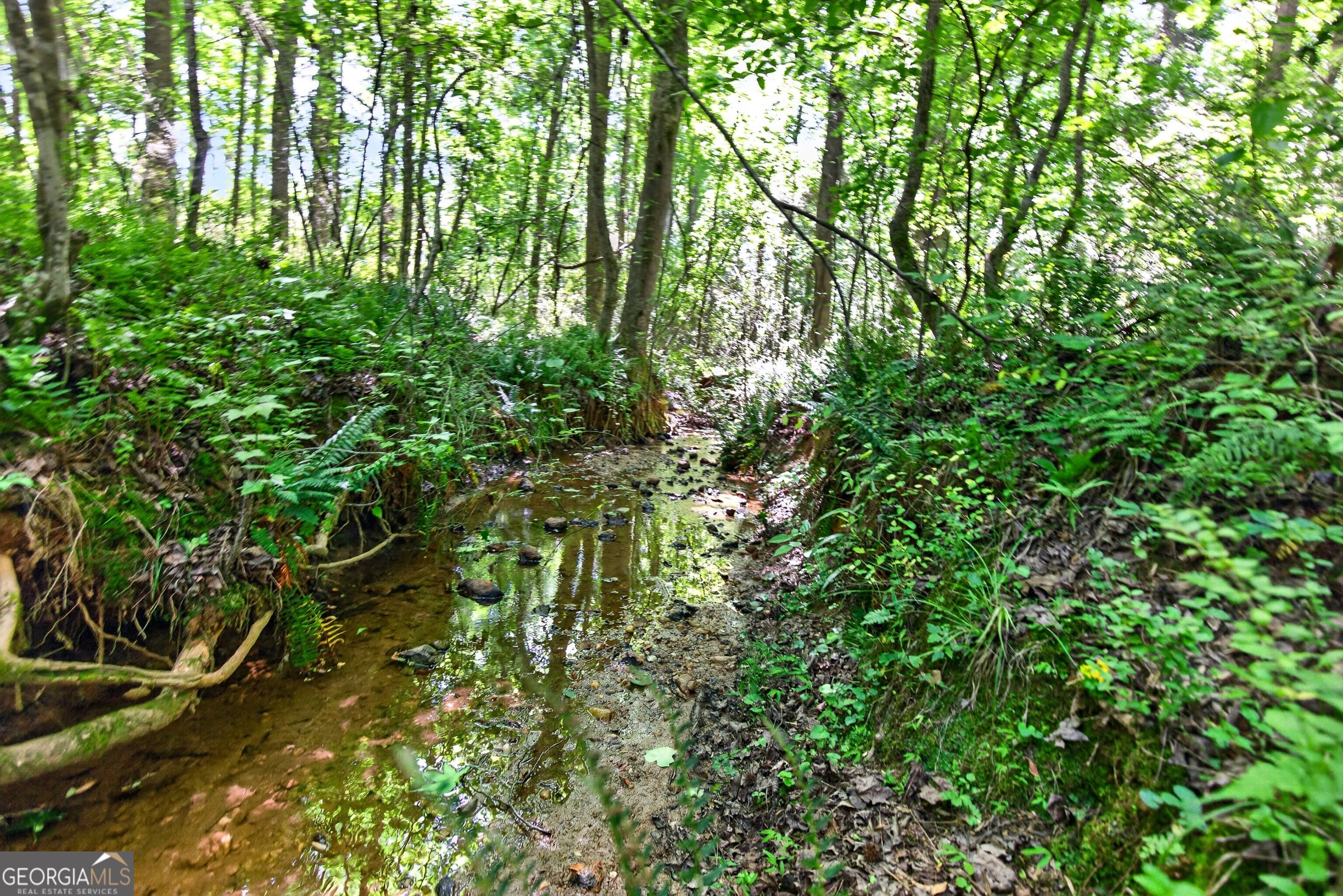 1764 Luther Bailey Road Senoia, GA 30276 - Photo 48 of 63