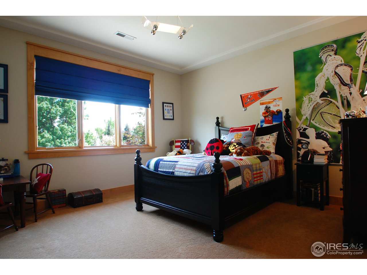 7205 Rustic Trail Boulder, CO 80301 - Photo 18 of 25