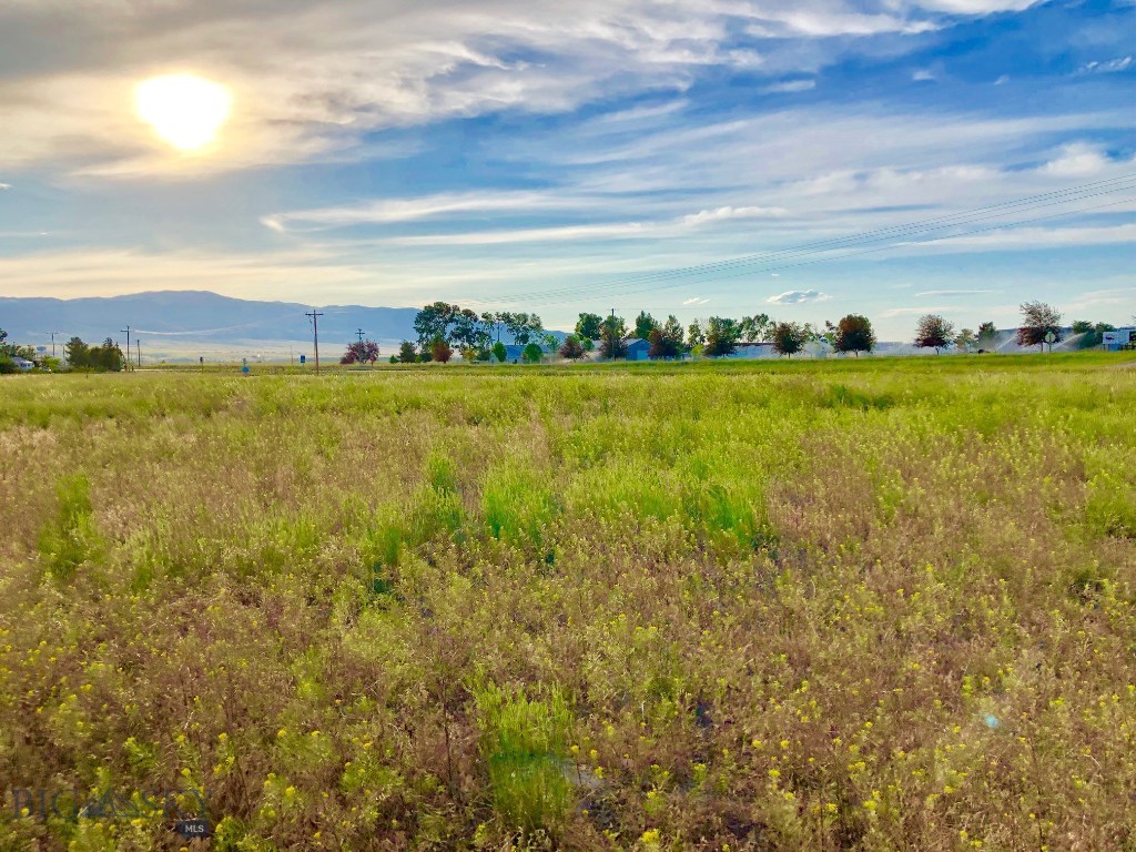 Lot 19 Sharon Loop Townsend, MT 59644 - Photo 1 of 1 Gallery Image 1