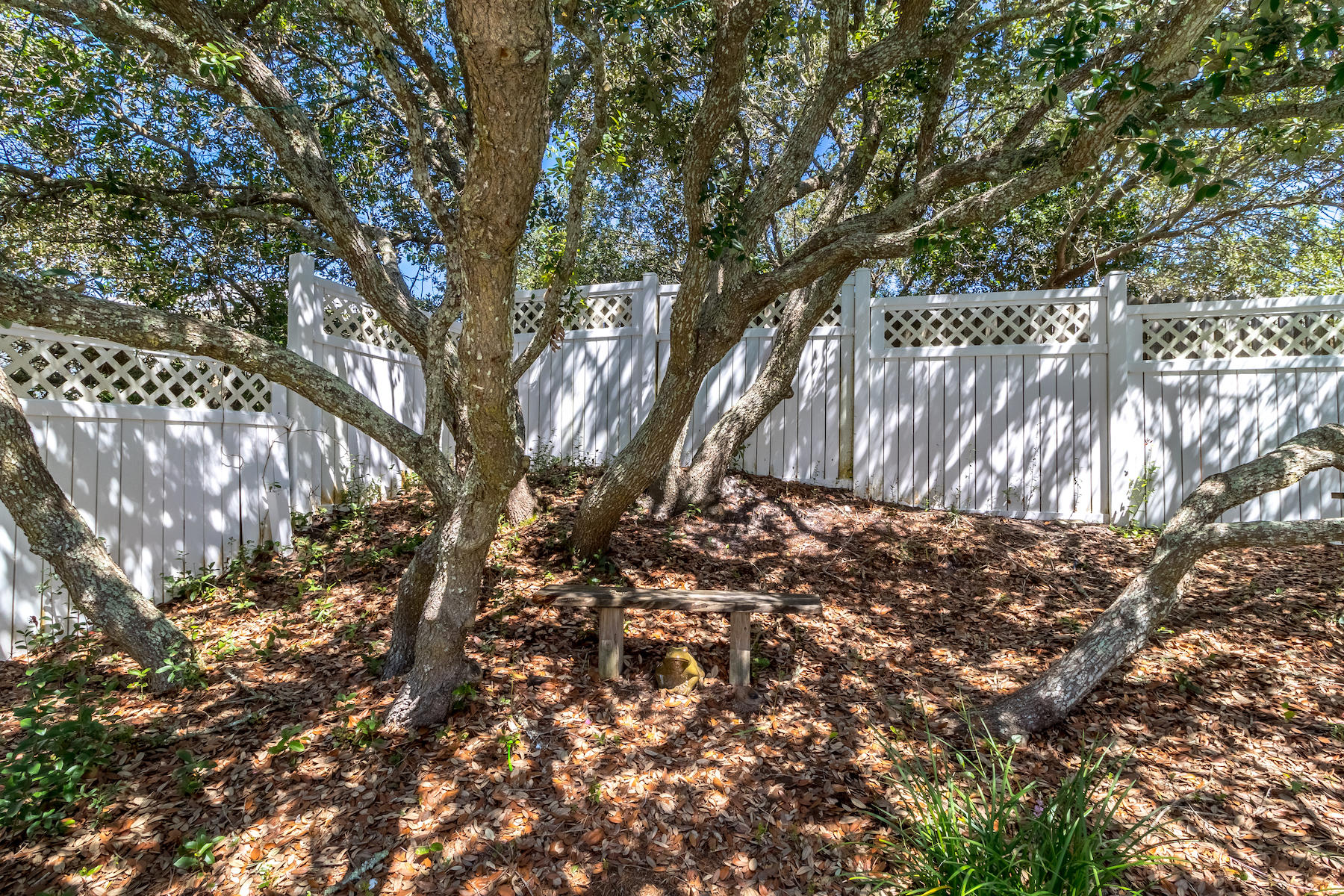 522 Defuniak Street, Unit 30A Santa Rosa Beach, FL 32459 - Photo 18 of 46 a backyard of a house with large trees