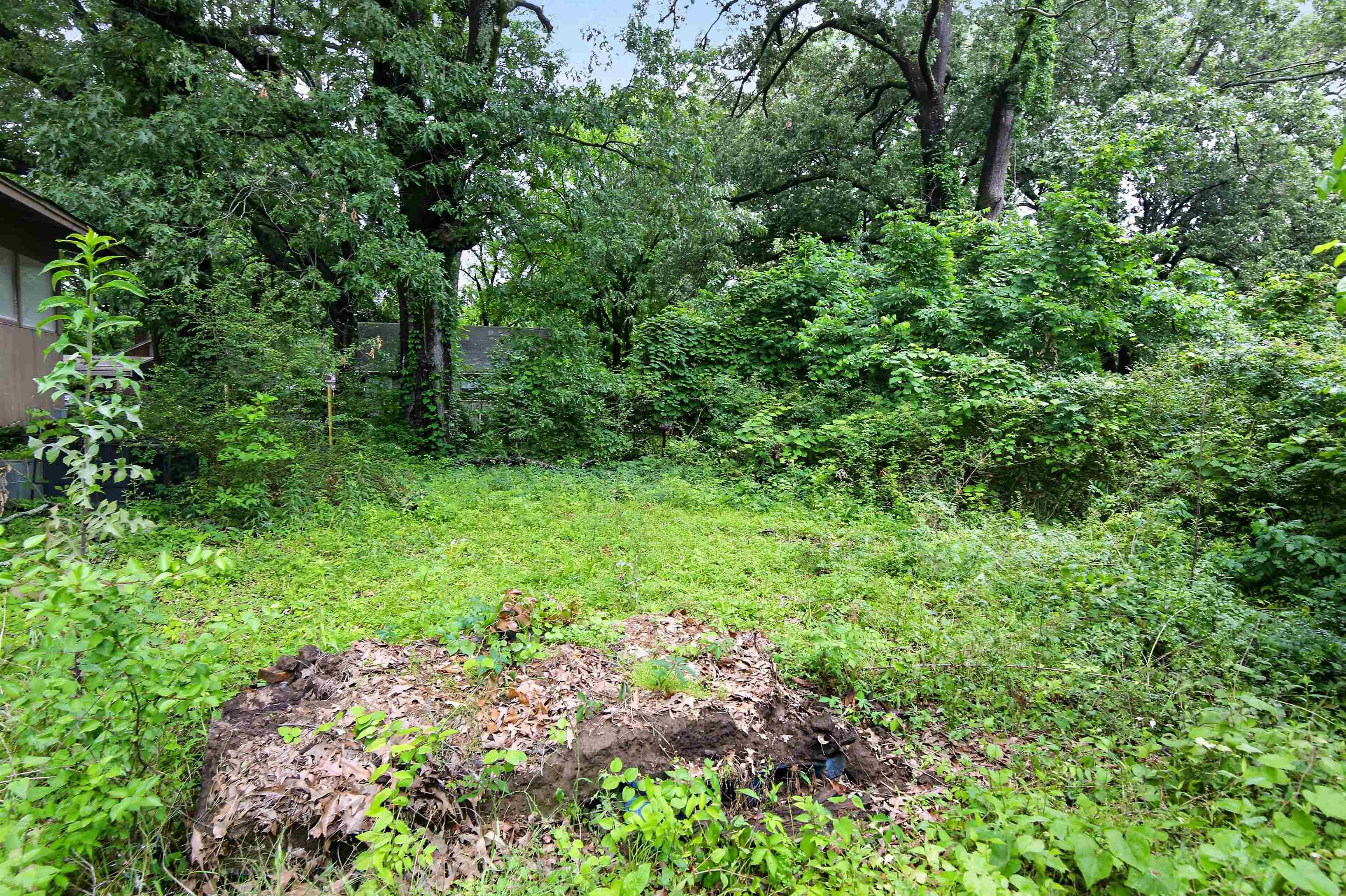 810 Hale Road Memphis, TN 38116 - Photo 2 of 30 Expansive wooded lot featuring mature trees and established natural landscaping