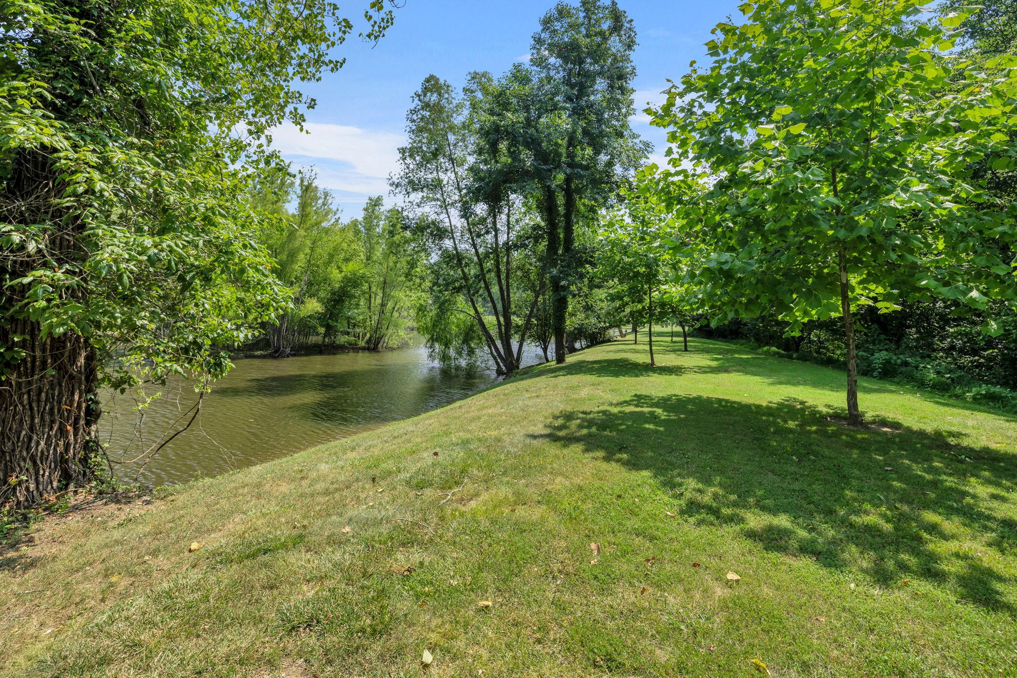 670 Still Pond Road Columbia, TN 38401 - Photo 33 of 43 a backyard of a house with lots of green space
