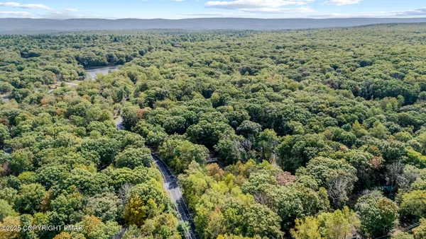 a view of a lush green field