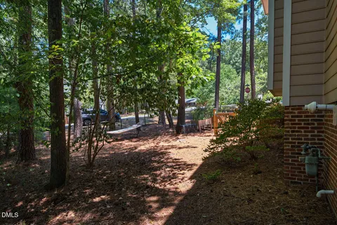 a view of a forest with trees