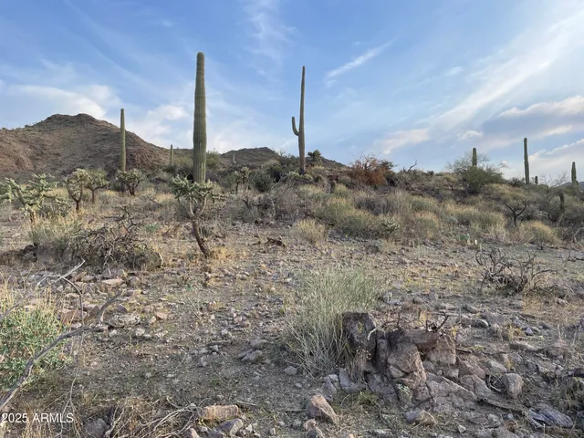 a view of a dry yard with mountains in the background