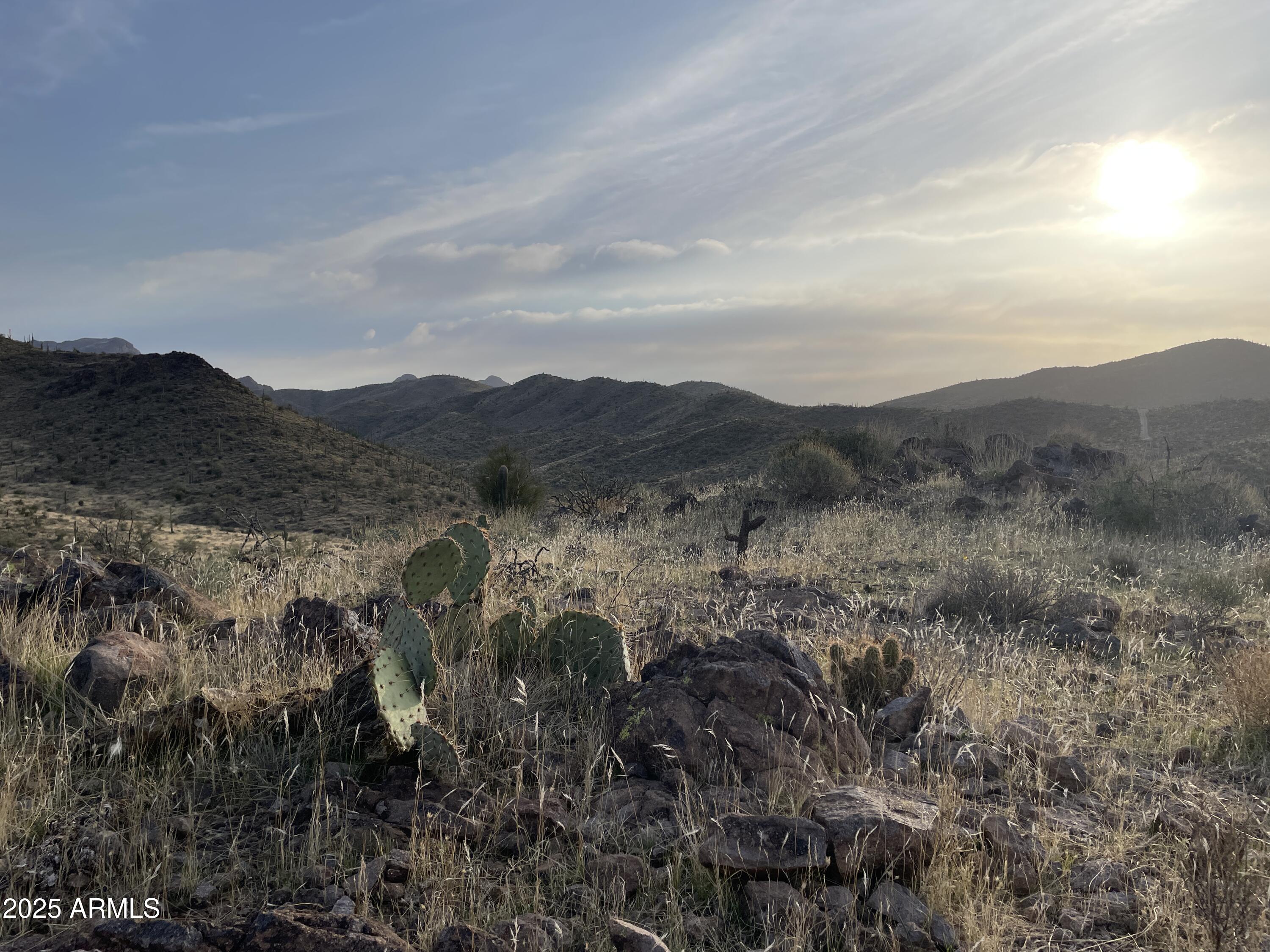 9 North Elephant Butte Road, Unit H Gold Canyon, AZ 85118 - Photo 2 of 9 a view of a mountain in the distance in a field