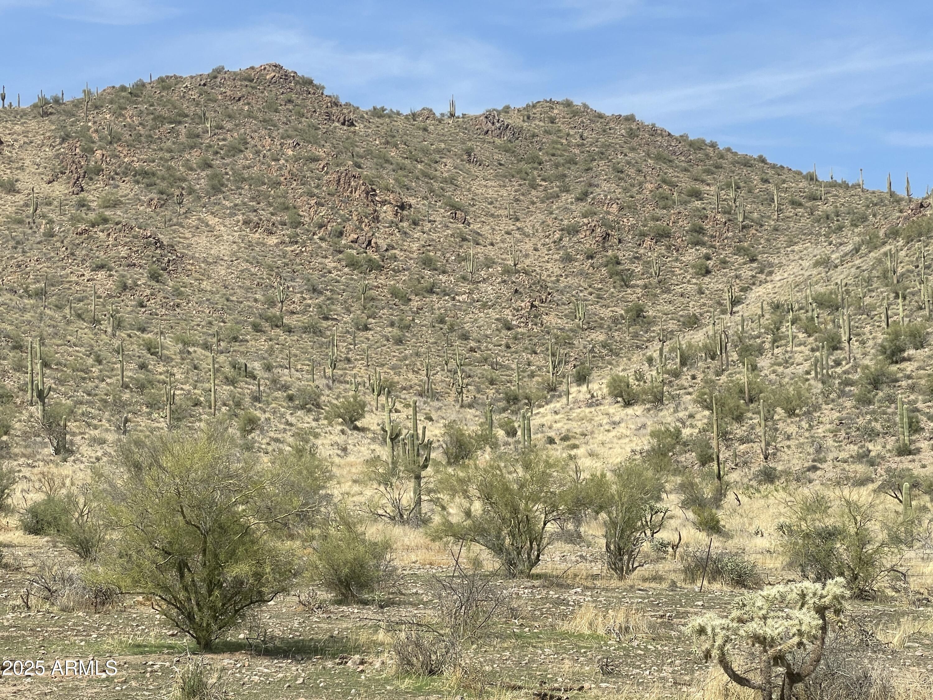 9 North Elephant Butte Road, Unit H Gold Canyon, AZ 85118 - Photo 4 of 9