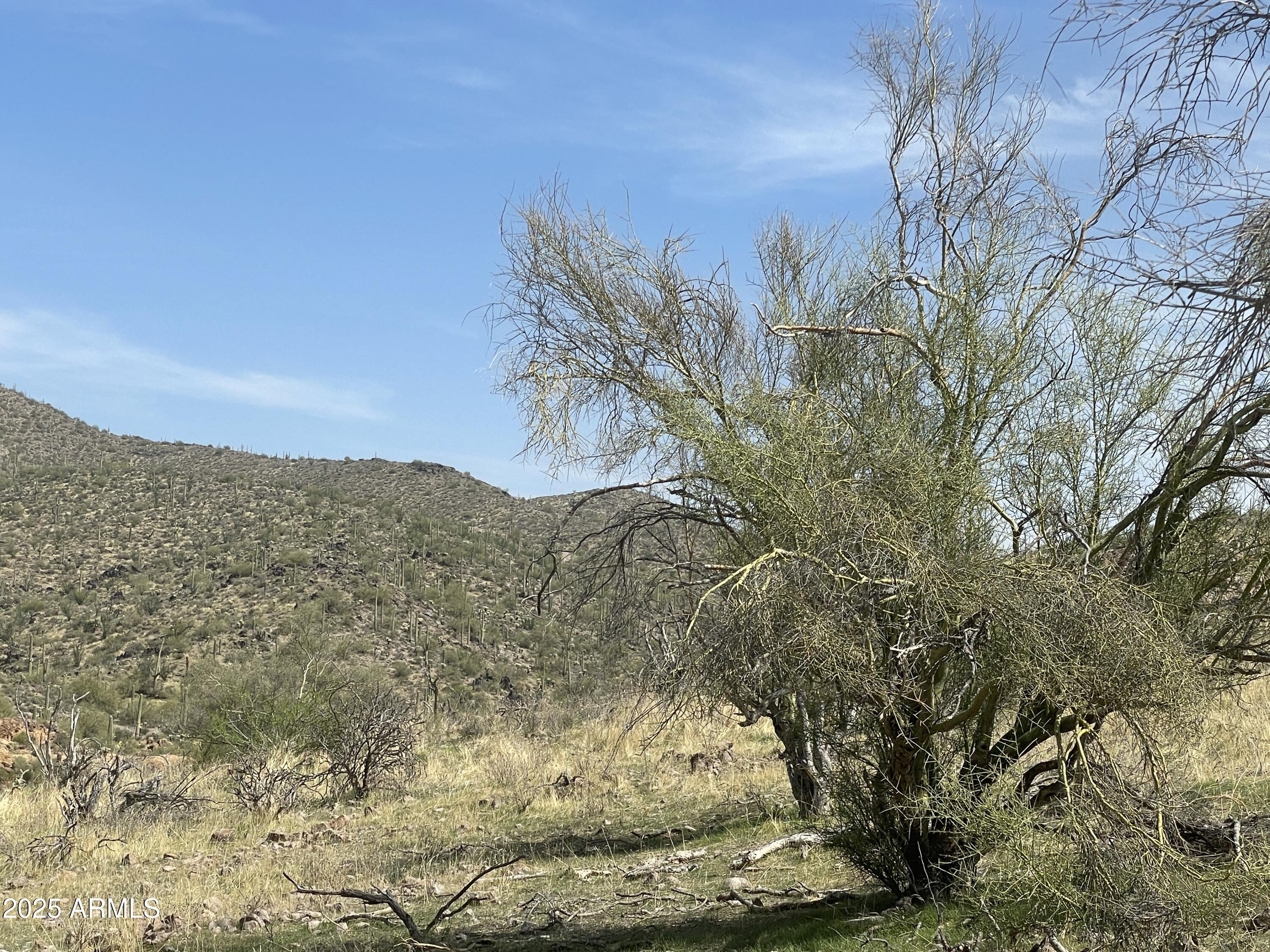9 North Elephant Butte Road, Unit H Gold Canyon, AZ 85118 - Photo 5 of 9 a view of a yard with wooden fence and floor