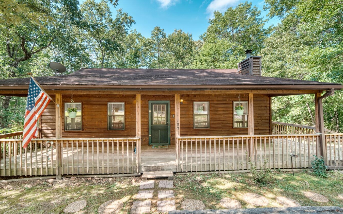 107 Pit Road Blairsville, GA 30512 - Photo 2 of 43 Additional View
