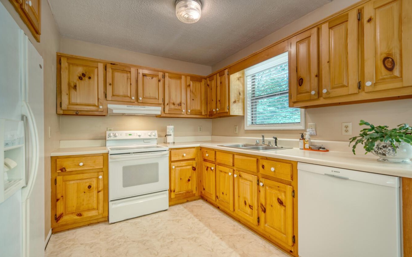107 Pit Road Blairsville, GA 30512 - Photo 5 of 43 Additional View