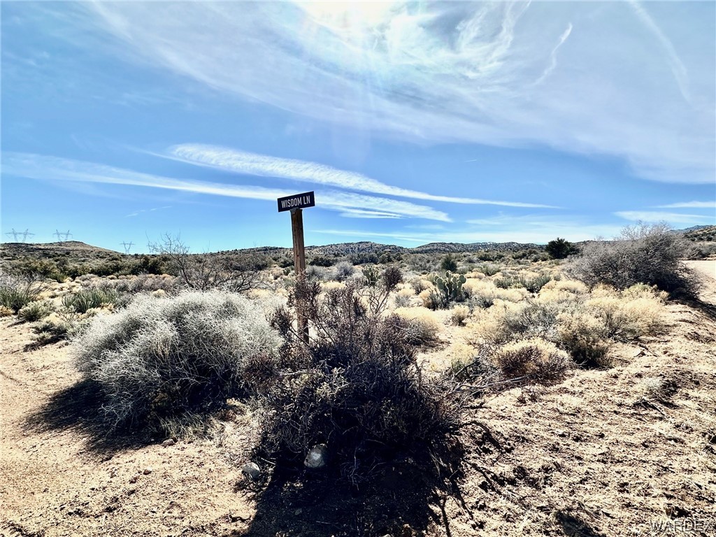 0 Frerichs Ranch Road, Unit 40D Hackberry, AZ 86411 - Photo 4 of 10