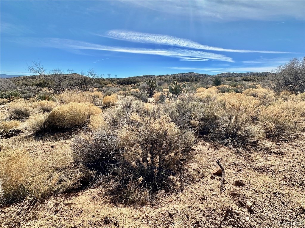 0 Frerichs Ranch Road, Unit 40D Hackberry, AZ 86411 - Photo 6 of 10