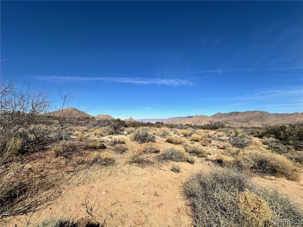 0 Frerichs Ranch Road, Unit 40D Hackberry, AZ 86411 - Photo 9 of 10