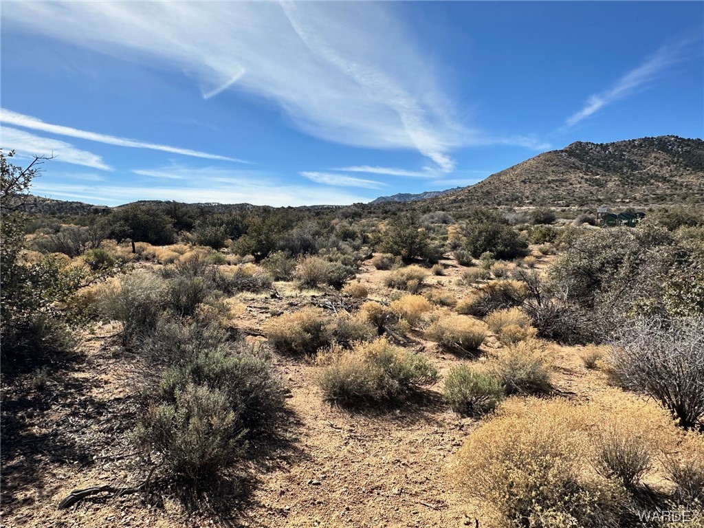 0 Frerichs Ranch Road, Unit 40D Hackberry, AZ 86411 - Photo 10 of 10