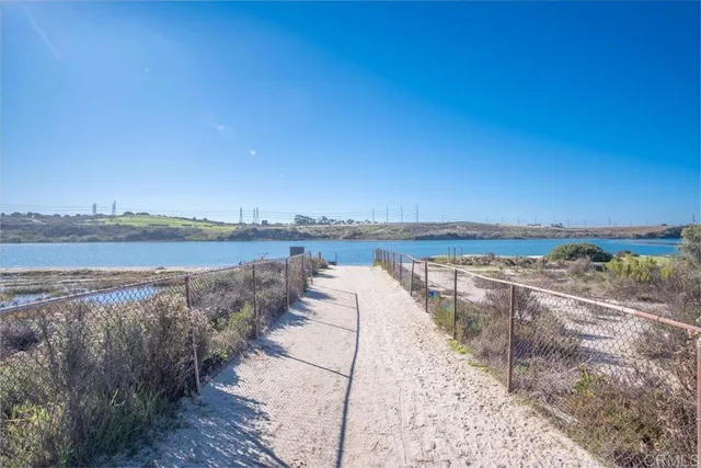 a flower plants in front of a glass door