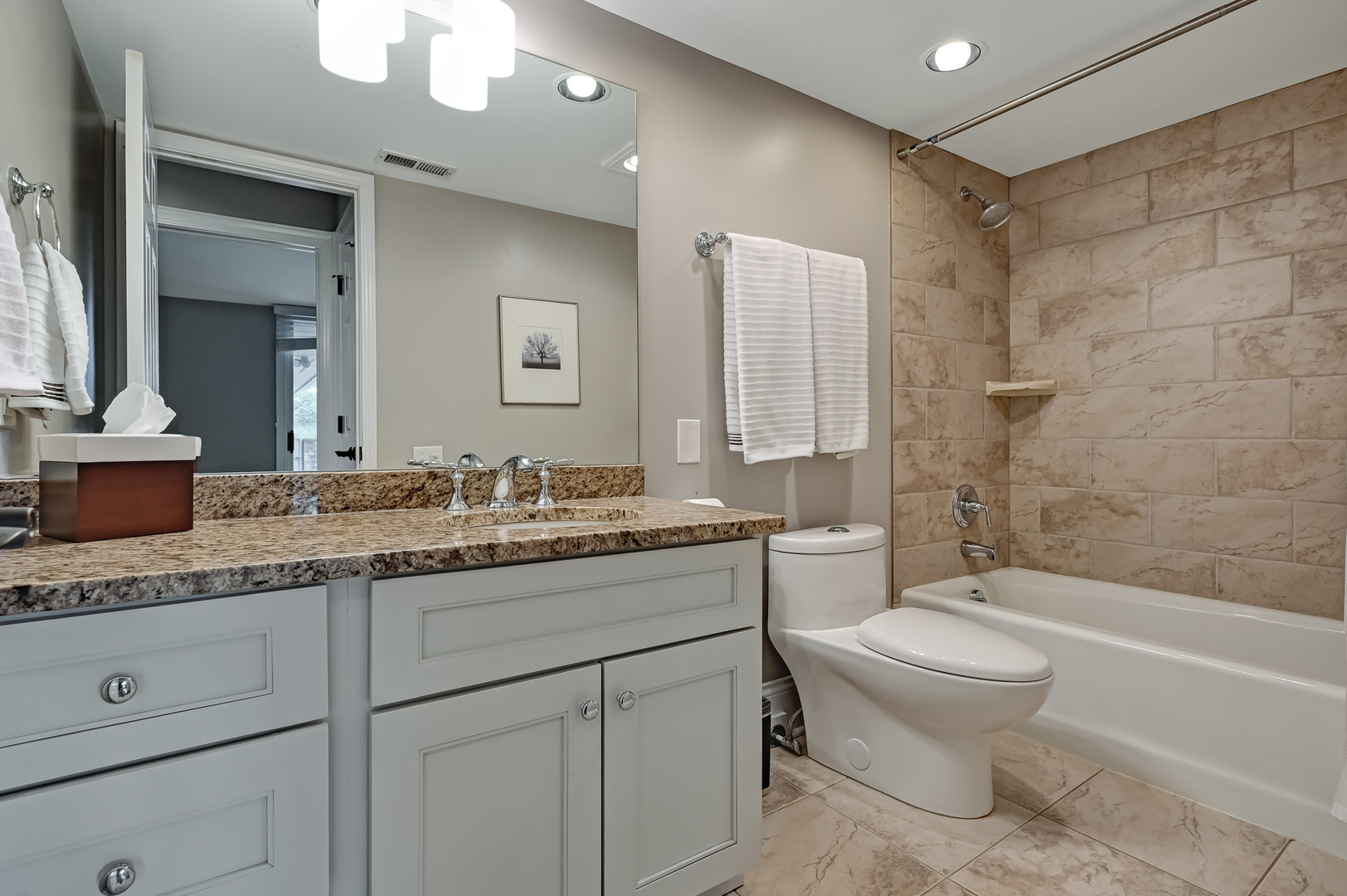 1208 Indian Trail Road, Unit 3E Hinsdale, IL 60521 - Photo 13 of 24 a bathroom with a granite countertop sink toilet and shower