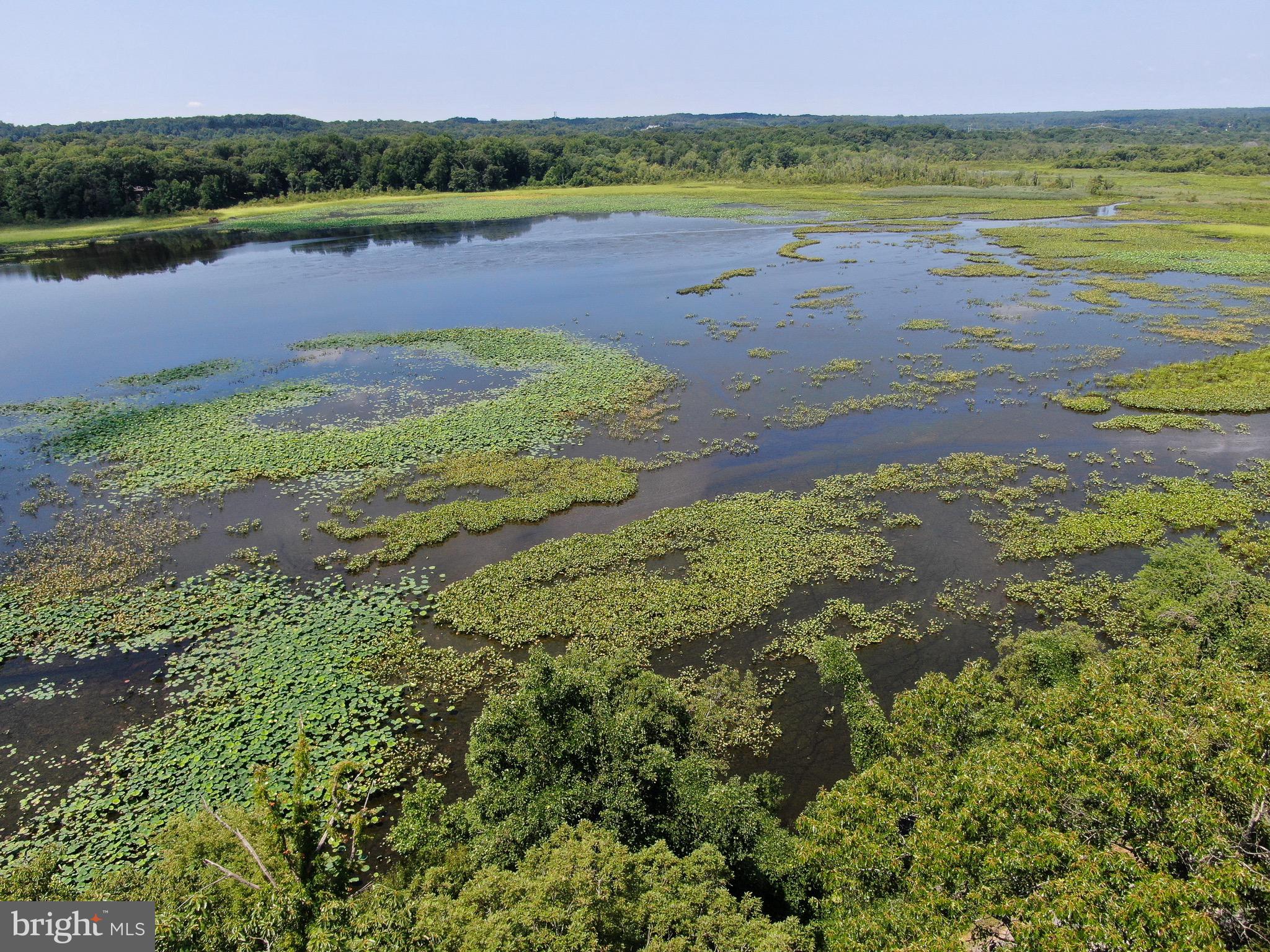 18099 Possum Point Road Dumfries, VA 22026 - Photo 11 of 58