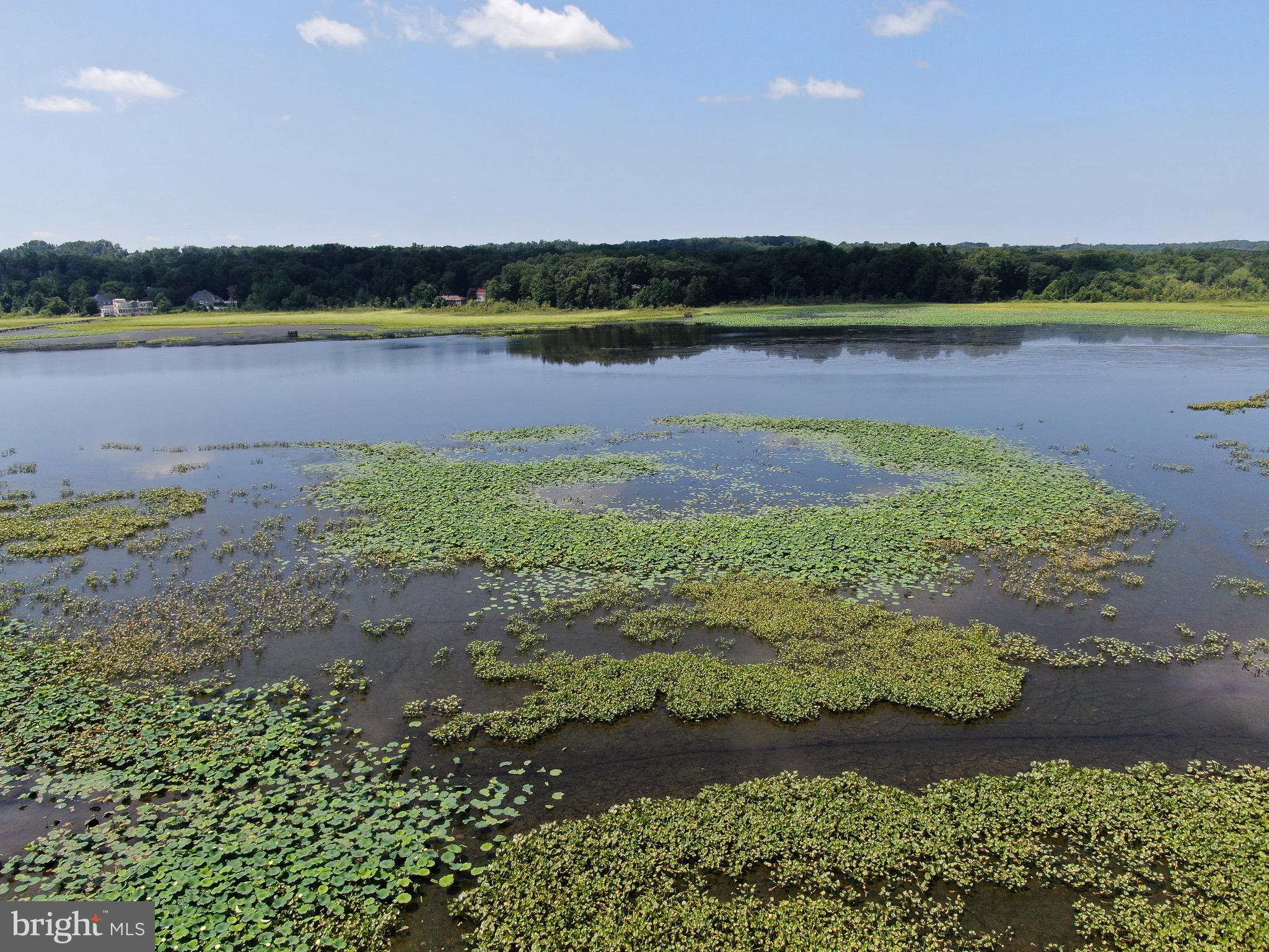 18099 Possum Point Road Dumfries, VA 22026 - Photo 56 of 58
