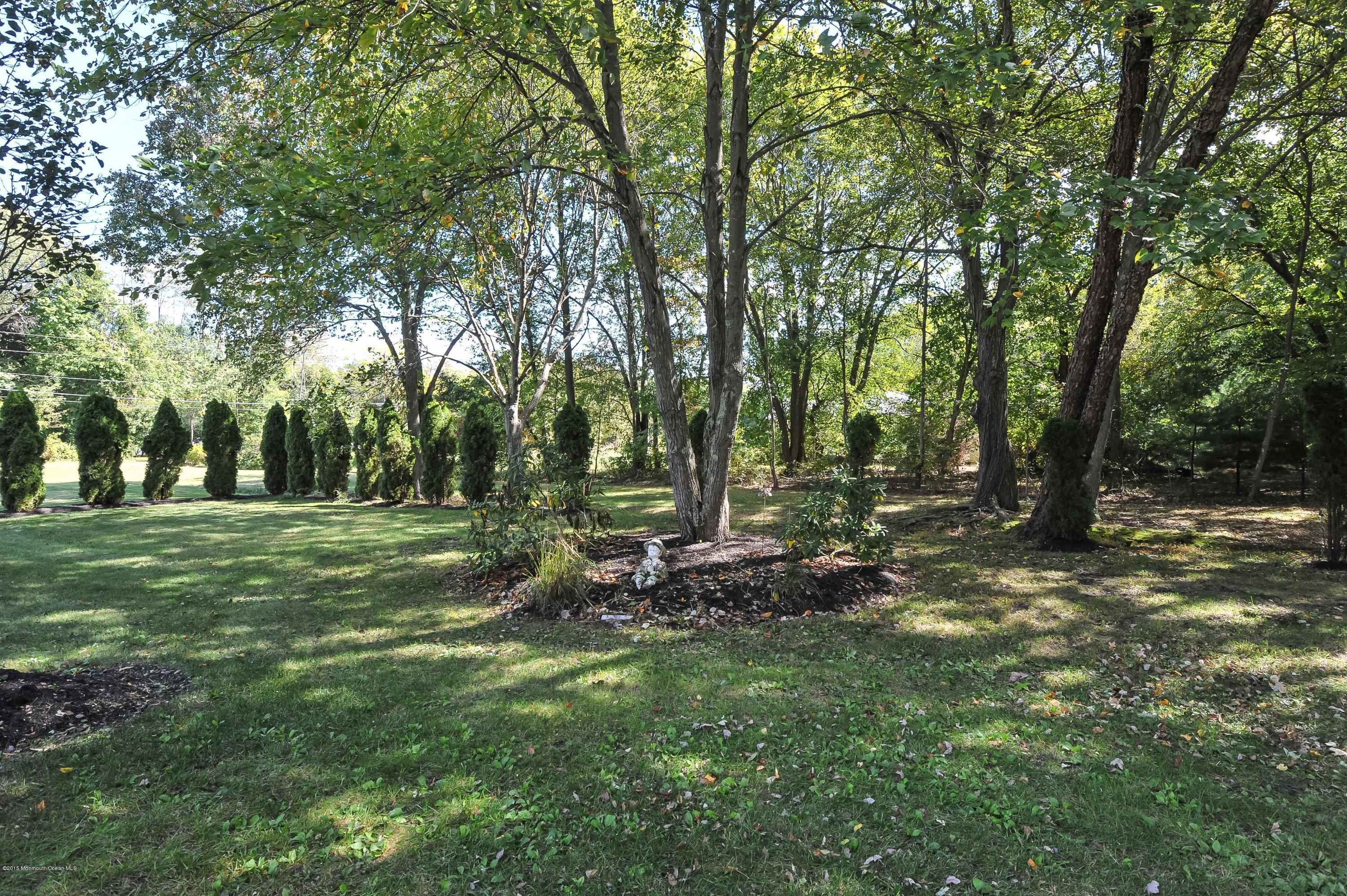 54 Brown Road Morganville, NJ 07751 - Photo 20 of 23 029_Yard