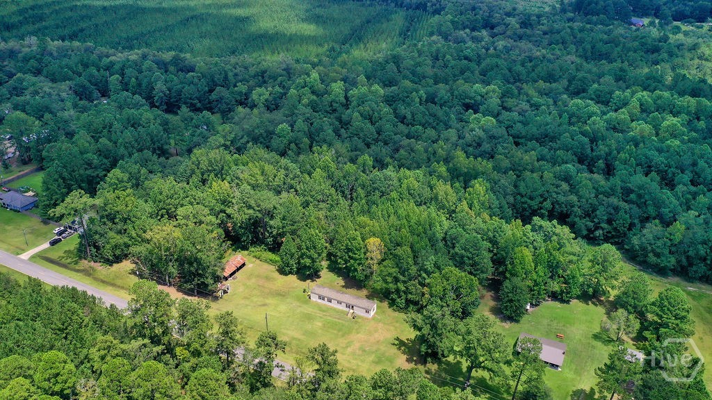 2814 Old Dixie Highway South Springfield, GA 31329 - Photo 3 of 39