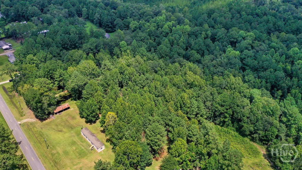 2814 Old Dixie Highway South Springfield, GA 31329 - Photo 4 of 39