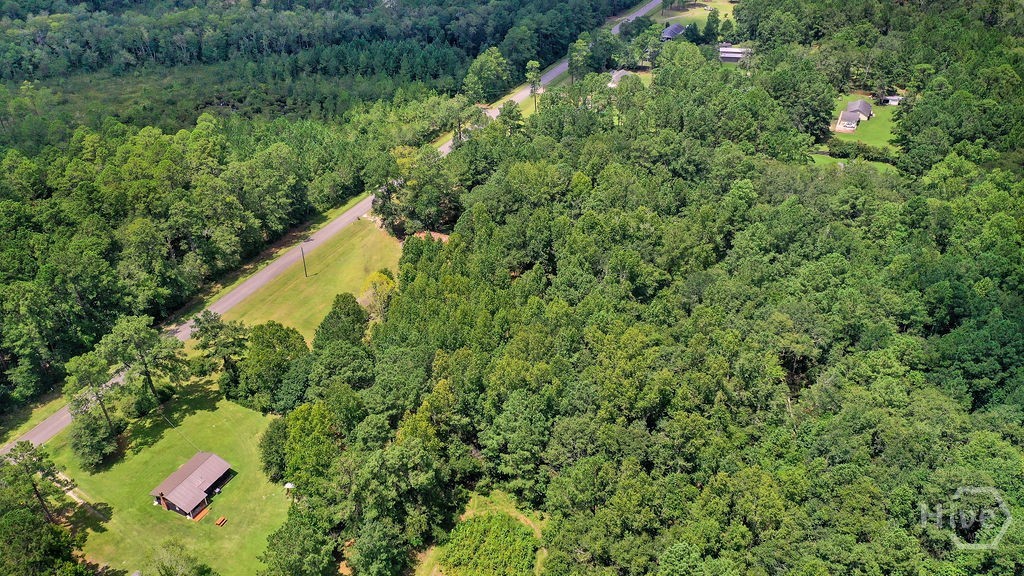 2814 Old Dixie Highway South Springfield, GA 31329 - Photo 7 of 39