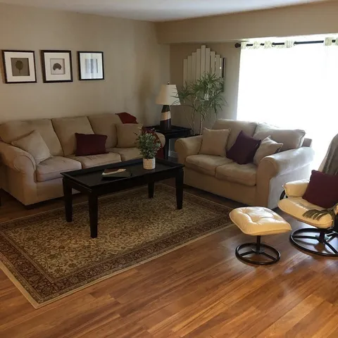 a living room with furniture and a rug