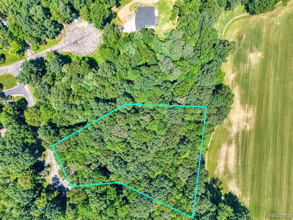 5663 Iosco Mountain Road Gregory, MI 48137 - Photo 3 of 13