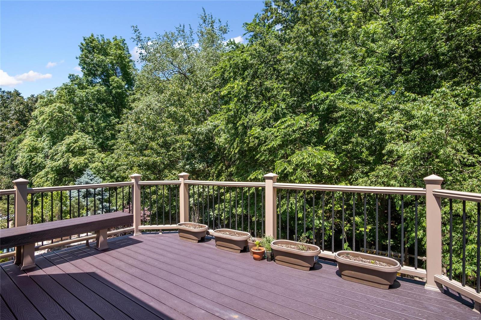 1479 Heritage Valley Drive High Ridge, MO 63049 - Photo 15 of 53