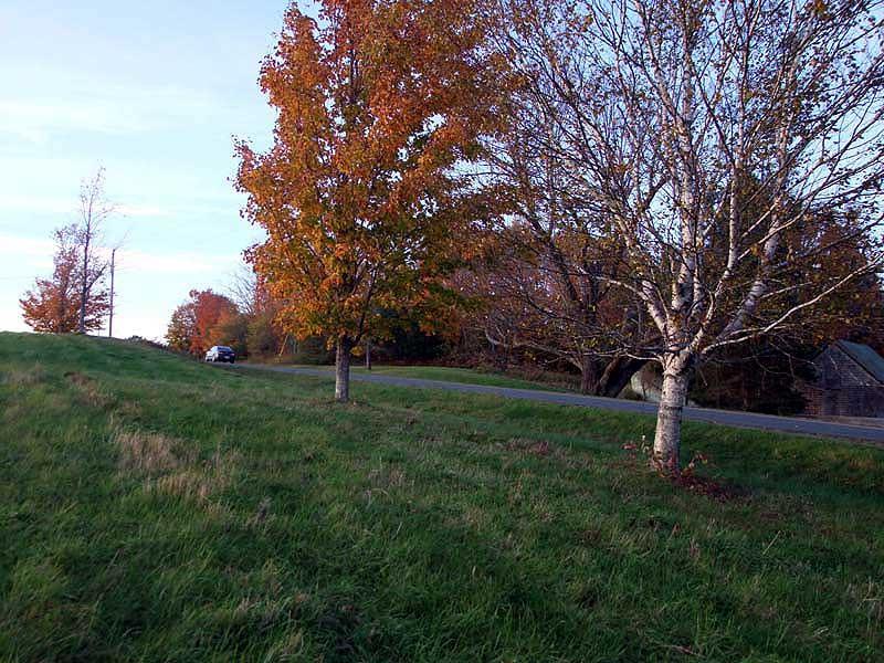 Lot 6 B Road Houlton, ME 04730 - Photo 9 of 35 Photo