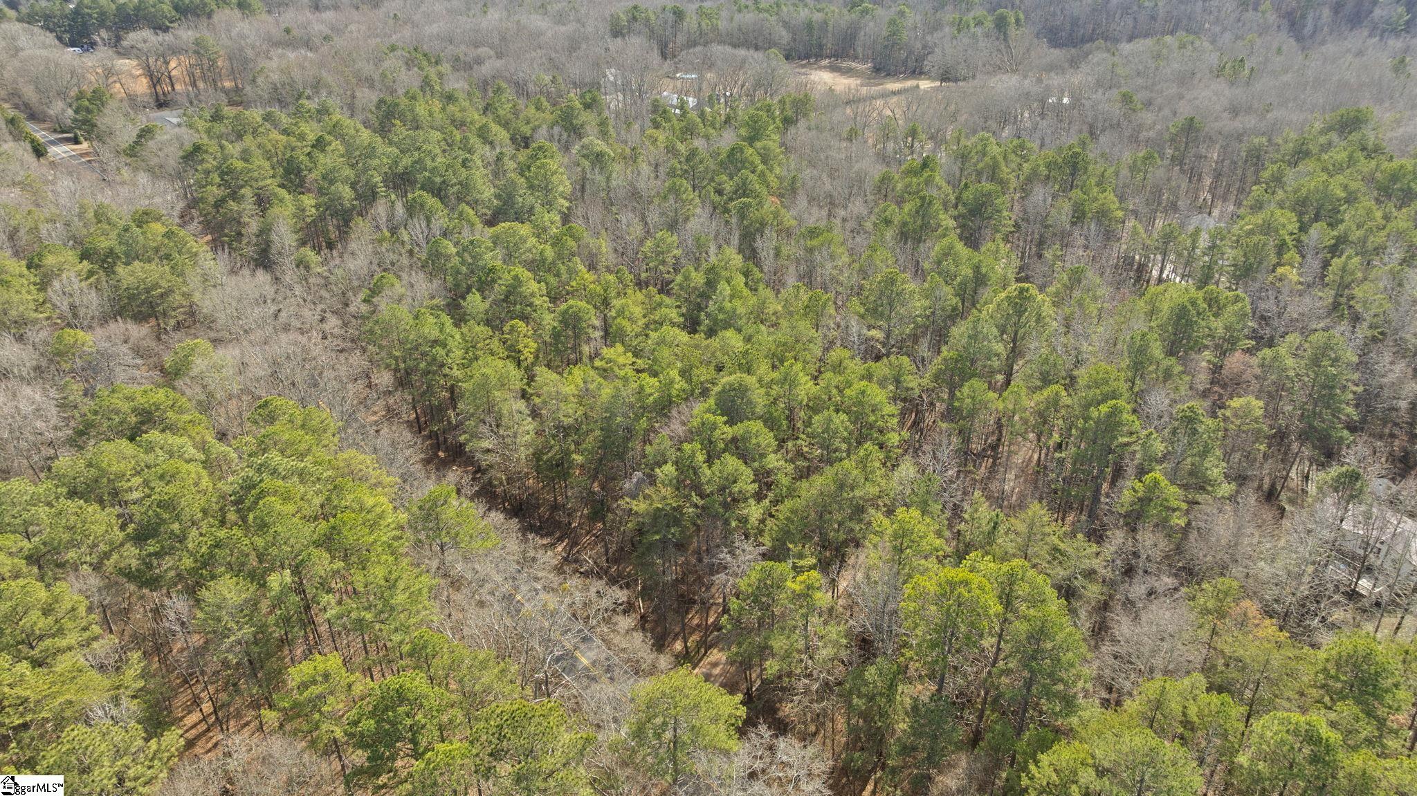 1747 State Rd S-4-97, Unit LOT 1 Anderson, SC 29621 - Photo 13 of 14