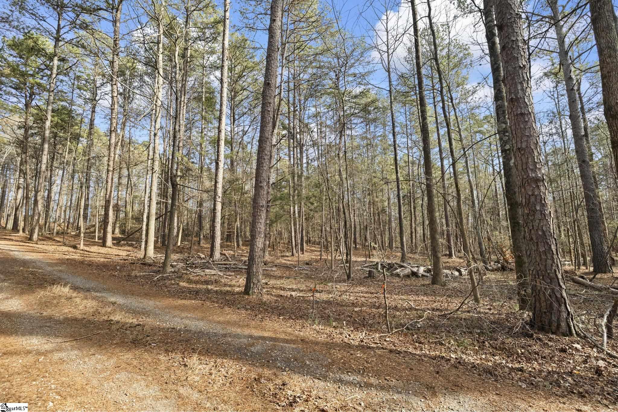 1747 State Rd S-4-97, Unit LOT 1 Anderson, SC 29621 - Photo 2 of 14