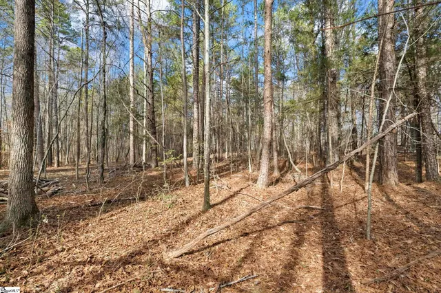 $65,000 | 1747 State Rd S-4-97, Unit LOT 1, Anderson, SC 29621
