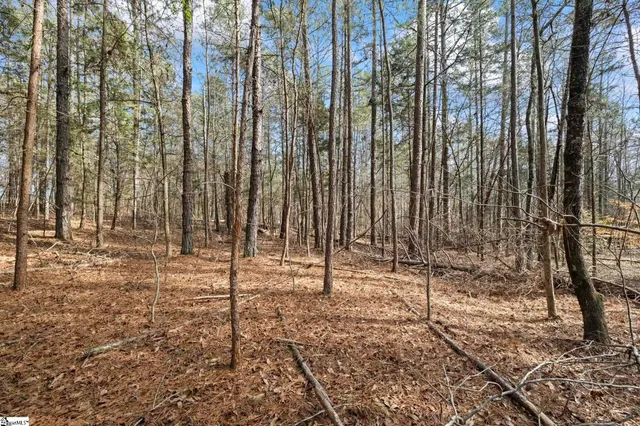 $65,000 | 1747 State Rd S-4-97, Unit LOT 1, Anderson, SC 29621
